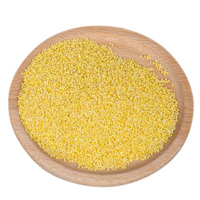 China China Manufacturer Dried Organic High Quality Yellow Millet Grains Cereal Grain Products 1 Kg Packing for sale