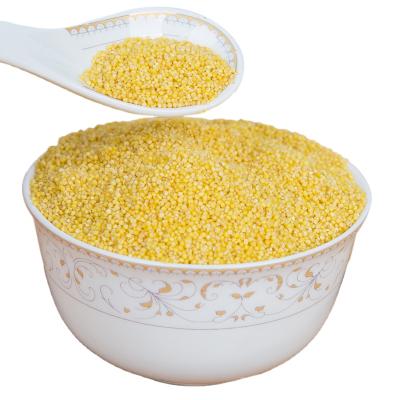 China High Quality Dry Chinese Organic Yellow Finger Millet Cereal Grain Products Price Millet Supplier and Manufacturer for sale