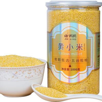 China Chinese Organic High Quality Yellow Finger Millet Cereal Grain Products Millet Supplier and Manufacturer for sale