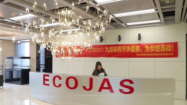 Verified China supplier - Ecojas Lighting Co., Ltd.