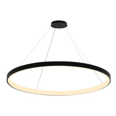 China Modern Modern Cafe Hanging Lighting Ring Shape Aluminum Chandelier Led Pendant Light for sale