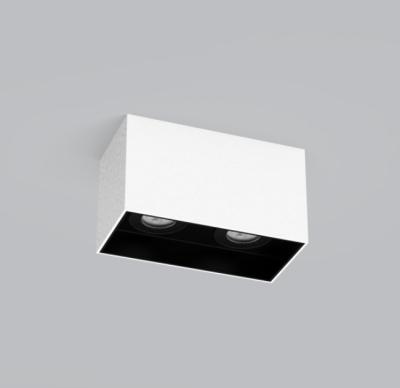 China Surface Mounted ECOJAS C6602 50W/max Customized Two Head Surface Mounted Downlights Square Ceiling Light for sale