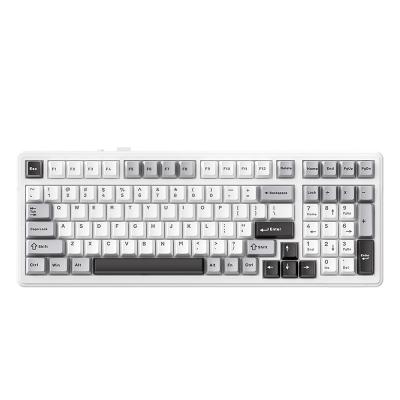 China New arrivals ALUA F99 gaming keyboards DIY RGB backlit 99 keys wireless keyboard FR4 positioning plate keyboard No for sale