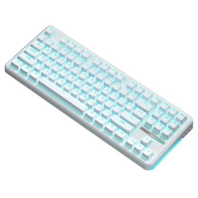 China New arrivals ALUA F87 gaming keyboards ABS keycaps DIY RGB backlit 87 keys Wired keyboard gasket keyboard No for sale