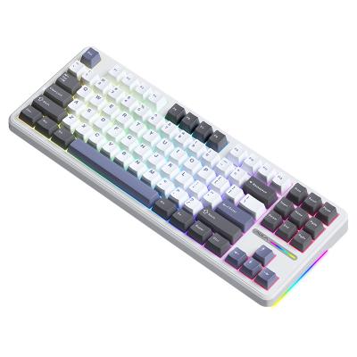 China New arrivals ALUA F87 gaming keyboards DIY RGB backlit 87 keys wireless keyboard No for sale