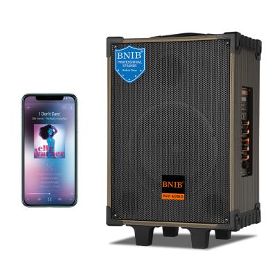 China ODM 70W Verstärker Portabler Bluetooth Lautsprecher Außensoundsystem für die Bühne zu verkaufen