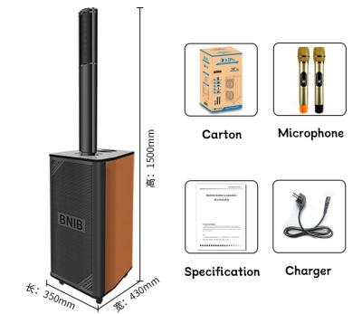 China Karaoke Line Array Speaker Bluetooth Portable Outdoor Wireless Speaker With Wheels for sale