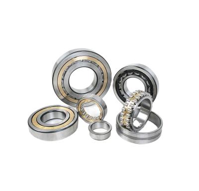 China Retail Single Row Cylindrical Roller Bearing NJ220 with Chrome Steel Gcr15 Material for sale