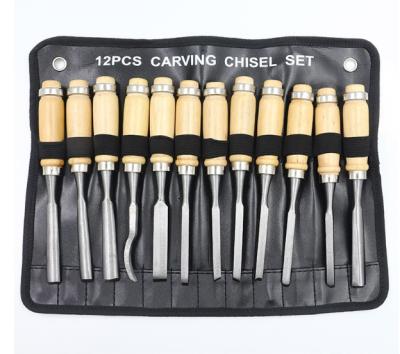 China 12pcs Wood Carving Tool Wood Carving Chisel Set Carving Tool Kit With Canvas Bag for sale