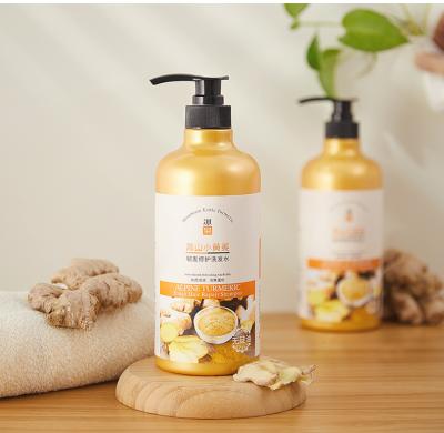 China Ginger Anti-Dandruff Shampoo Hair Care Products Anti-Dandruff 750ml Ginger Shampoo Pure Natural 100% Natural Silicone Free for sale