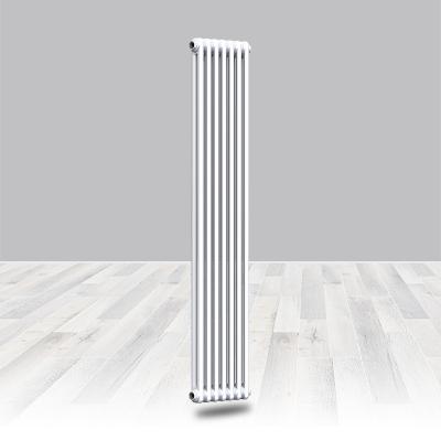 China Modern Two Pipe Hot Water Radiator System Central Heating Radiator Replacement Hot Water Radiator For Garage for sale