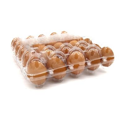 China Egg Tray Transport Pallet Egg Tray Stackable Various 30 Cell Plastic Nursery Trays And Lids For Chicken Duck All-Season Pitch Coated 0.5mm for sale