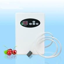 China 500mg electrolytic bathtube water puriifer ozone generator price for sale