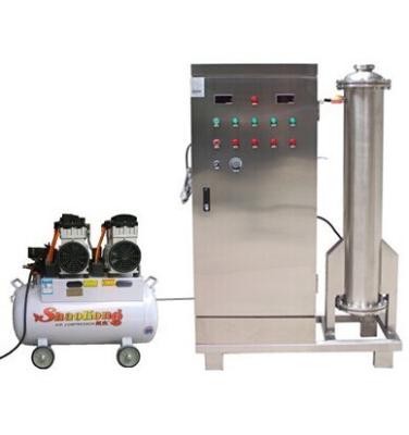 China 200g/h 380 volt sewage water treatment ozone machine system for sale