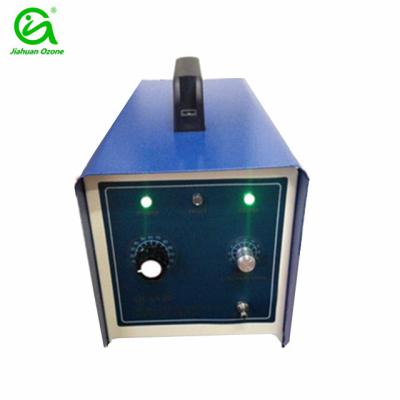 China portable 2g/h ozone generator for spa sterilization and disinfection for sale