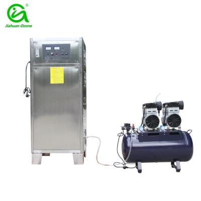 China 100g/h quartz tube ozone generator for drinking water purification in spring plant for sale