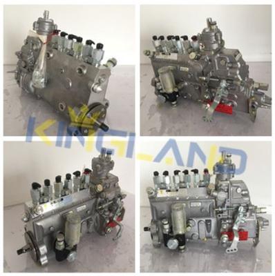 China Automobile Diesel Engine D6D Fuel Injection Pump 0414693006 for sale