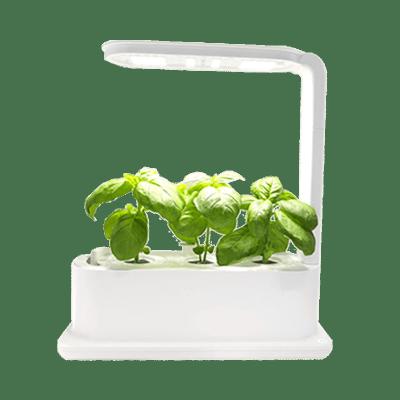 China Smart Minimalist New Product Grow System Home Plant 3 Holes Indoor Led Planter for sale