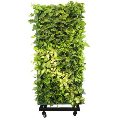 China 420 x 260 x 1520 mm Expandable Design Automatic Vertical Irrigation Eco-Freindly New Design Movable Green Wall Hanging Green Wall for sale