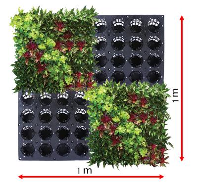 China Eco-Freindly Modular Expandable Design Wall Panel 500 X 500 X 120 Mm PP Material Automatic Irrigation Design for sale