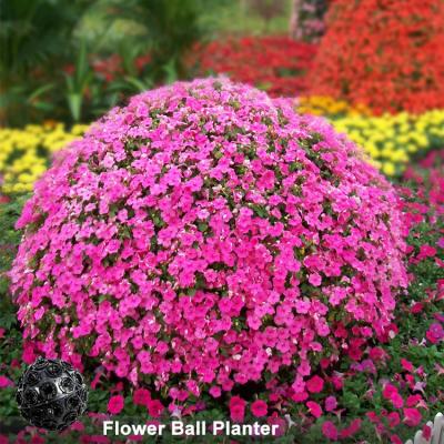 China Eco-Freindly Garden Art Sculpture Home Garden Plant Customization Iron+PP Large Scale Potted Material Flower Ball Planter for sale