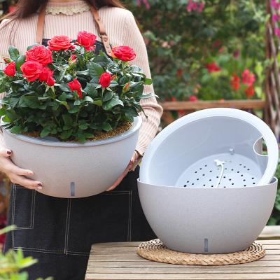 China Cotton Rope Flower Pots Separate Indoor Creative Lazy Automatic Water Absorbing Self Watering Plant Plastic Pots for sale