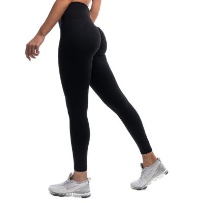 China Other Seamless Sports Activewear Women Fitness Leggings High Waist Bra Set Shorts Seamless for sale