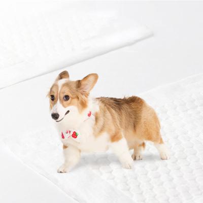 China Stocked Training Puppy Pee Urine Dog Pee Pads Custom Leakproof Super Absorbent Pad for sale