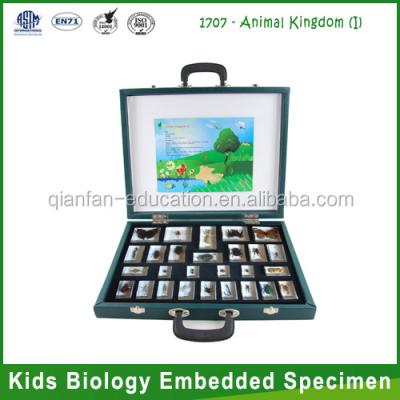 China Teaching Aids for Biology (i) Qianfan Animal Kingdom Intelligence Children Specimen Teaching Aids for Children for sale