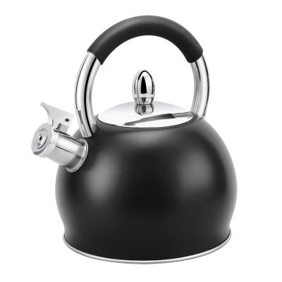 China HausRoland Stainless Steel Water Tea Kettle Induction Stove Stocked Gas Whistling Teapot for sale