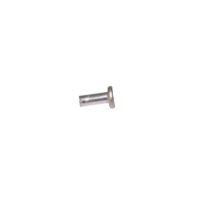 China Stainless Steel Solid Copper Rivet Burr Round Stainless Steel Flat Head Rivets for sale