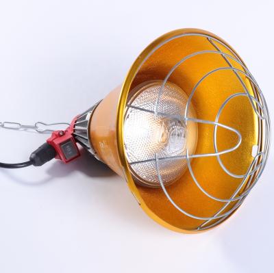 China sows & 175W Porcine Infrared Infrared Heater Bulb Lamp Hard Glass PAR38 for sale