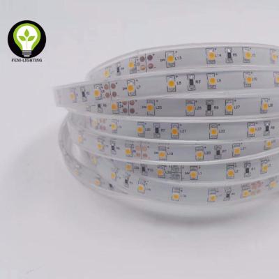 China Waterproof Silicone Hollow Tube DC12V SMD3528 Flexible LED Strip 7-8lm Ra80 Copper Factory Customized 2 Years Warranty for sale