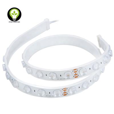 China IP67 Hotel Wall Seal Flexible LED Strip Light With Outdoor TPU Lens Glue LED Strip Light Waterproof for sale