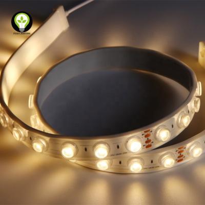 China IP67 Hotel Wall Seal Flexible LED Strip Light With TPU Lens Outdoor Waterproof LED Strip Light for sale