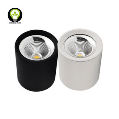 China White Mounted / Suspend & Black Round 10W Outdoor Mounted Downlight COB LED Outdoor 90 CRI for sale