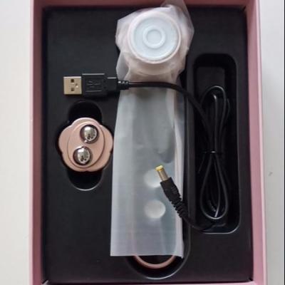 China For Home Use Rechargeable Handheld RF Beauty Instrument for sale