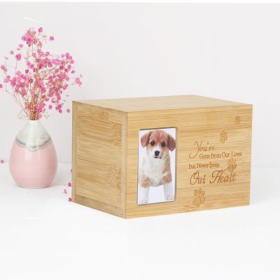 China European style cremation urn urns box bamboo paw design for pet cremation ashes coffin pet biodegradable bamboo urns for sale