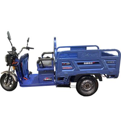 China Cargo Family electric car adult cargo tricycle Small family tricycle pedal freight 3 wheels 32A tuk-tuk  1000w motor electric tricycle for sale