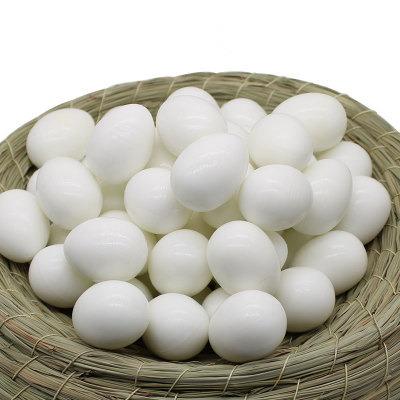 China Viable plastic solid pigeon supplies fake pigeon packaging egg products for pigeons for sale