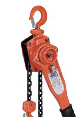 Κίνα Nylon / Rubber Wheels Steel Block And Tackle Hoists For Lifting And Hoisting προς πώληση