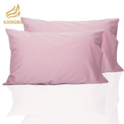 China Anti-bacteria luxury bamboo pillow case lyocell fabric pillow case for summer for sale