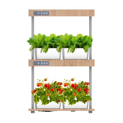 China Seed Starting LED For Growing 2 Layer System Garden Hydroponic Light Growing System 32 Indoor Smart Pods for sale