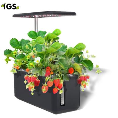 China Igs-28 Garden Home Hydroponic System Hydroponic System Indoor Home Kit Hot Sale Retail Hydroponic Use for sale