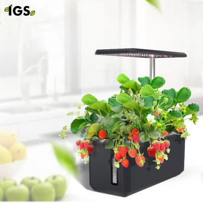 China Seed Starting Growing Home Plant Smart System Garden Hydroponic Growing Systems IGS-28 With Auto Timer for sale