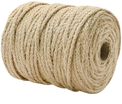 China Gift Wrapping SR 3mm 4mm 6mm Jute Bulk 8mm Rope , Natural Jute Twist 3mm Jute Rope Natural 4mm Hemp For Artwork And Crafts Macrame Projects for sale