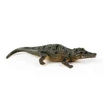 China 3D Model Learning Resources PVC Realistic Crocodile Animal Model Toy For Children for sale