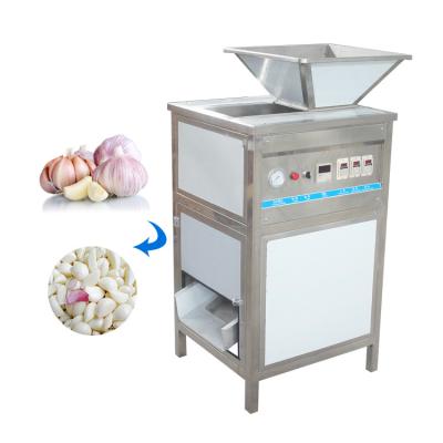 China Snack Factory TCA Industry and Commercial Automatic 150kg/h Dried Garlic Peeler Machine for sale