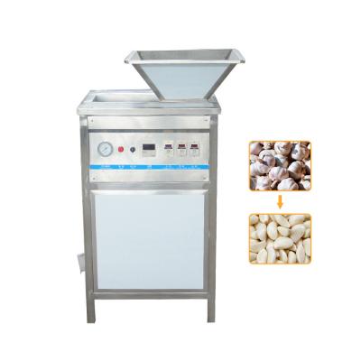 China Adjustable Speed ​​High Quality Commercial Garlic Dry Peeling Machine Dry Peeling Machine Garlic Peeler for sale