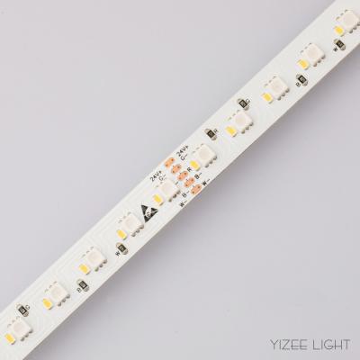 Cina 12mm DC24V di alta qualità 288LED/m 5 colori RGB+2700K-6000K LED Strip Light in vendita